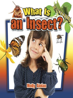 cover image of What is an insect?